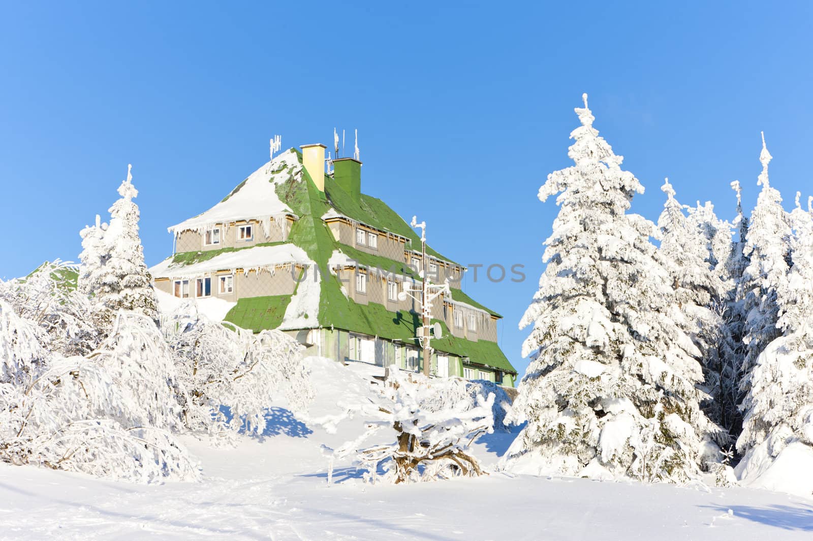 Masarykova Cottage, Orlicke Mountains in winter, Czech Republic