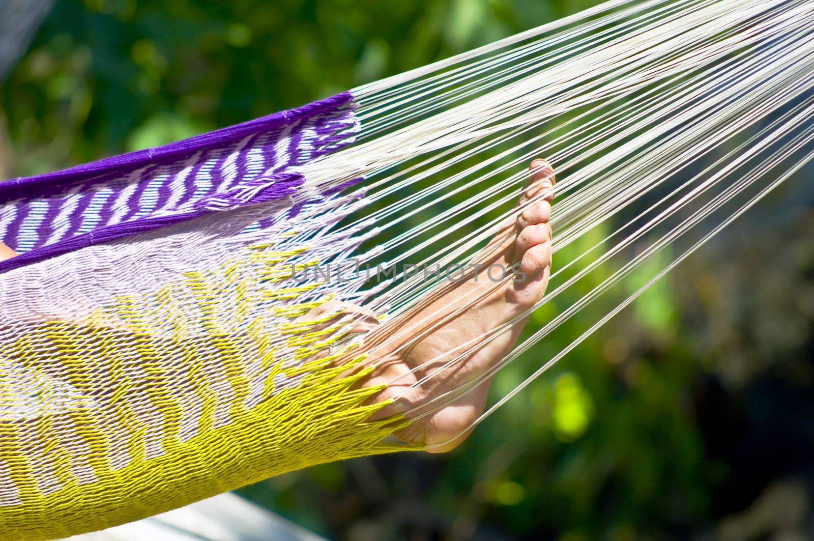 Women's feet in a colorful hammock. Fragment. Summer