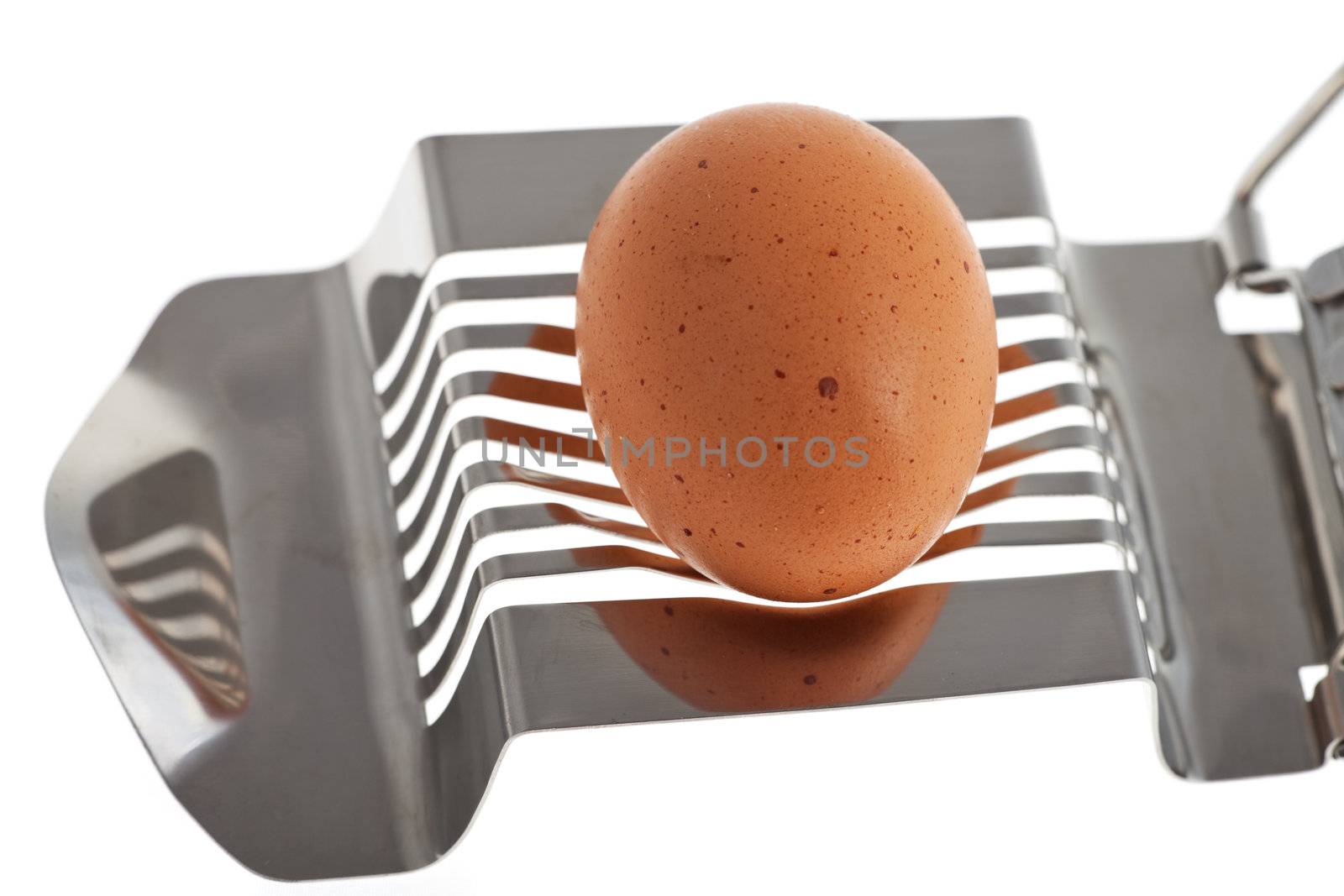 egg cutter with an egg isolated on white background by bernjuer