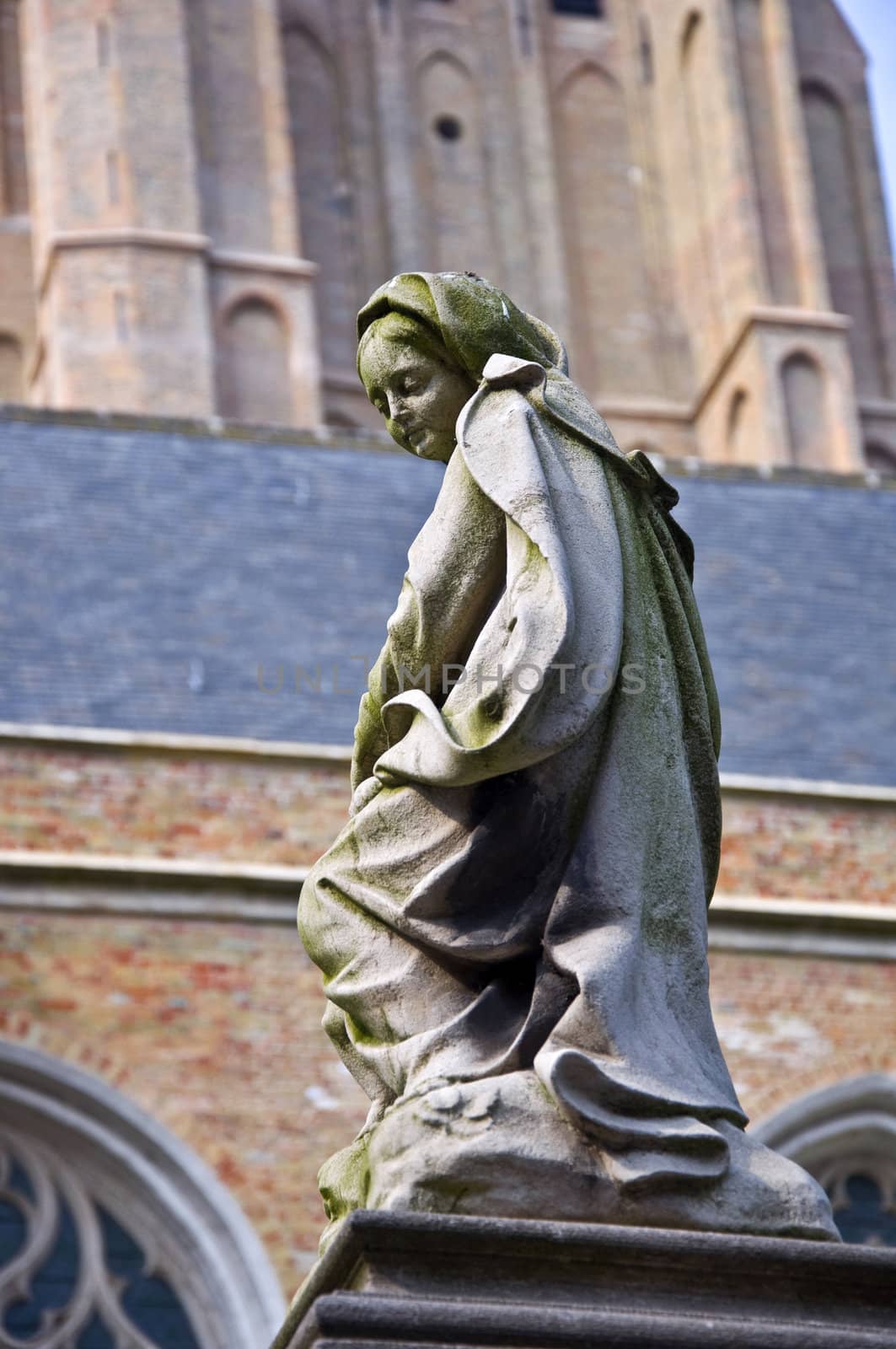 Sculpture of the Blessed Virgin Mary holy in the Catholic background of a Gothic cathedral. Shallow depth of field.