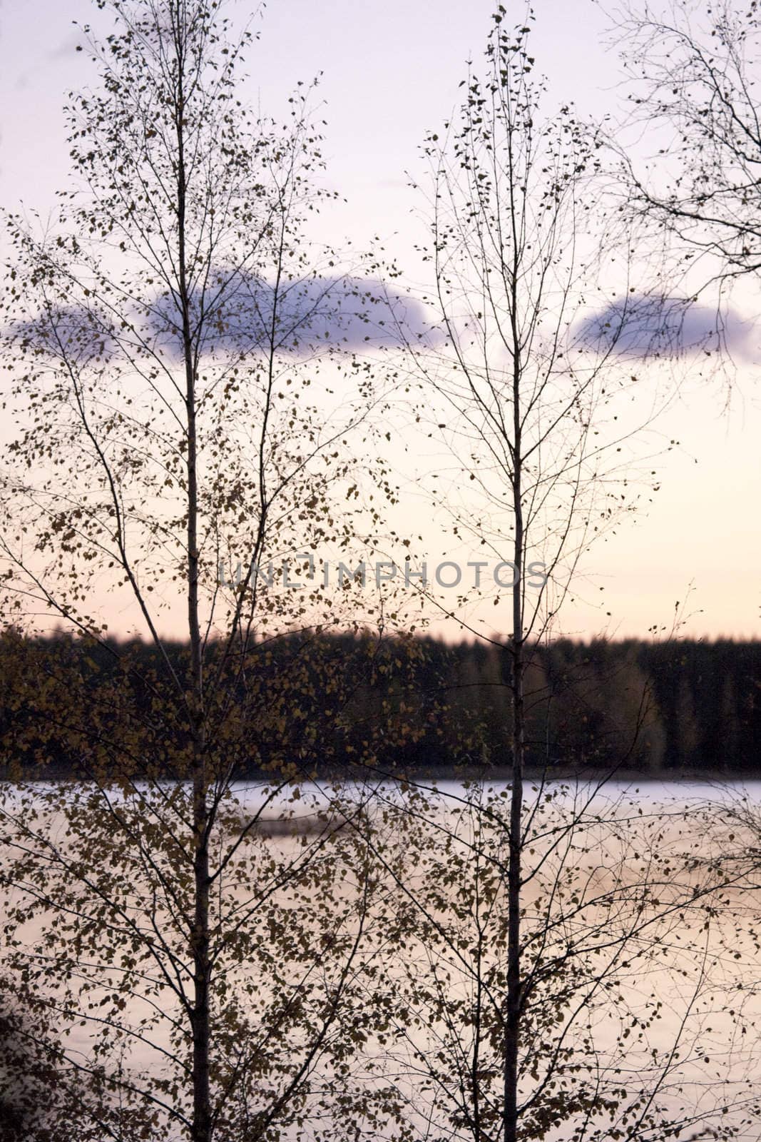 Lake landscape by sunset.