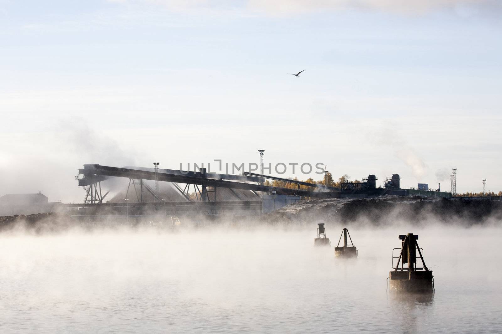 Conveyor Belt and Timber Stock by hazy dawn.