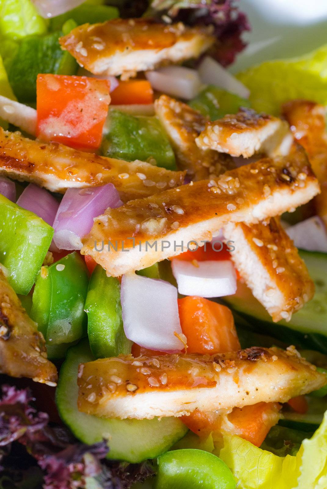 fresh colorfull sesame chicken salad close up