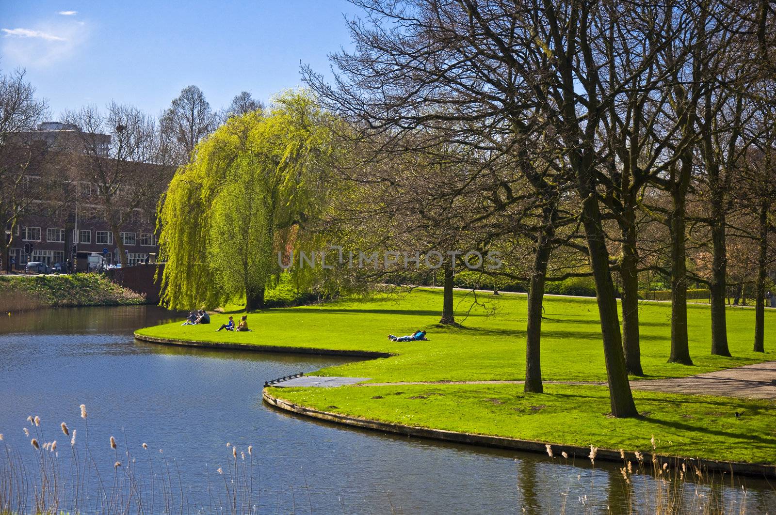 Beautiful green lawn on the canal bank in Amsterdam. Spring Park. Cityscapes
