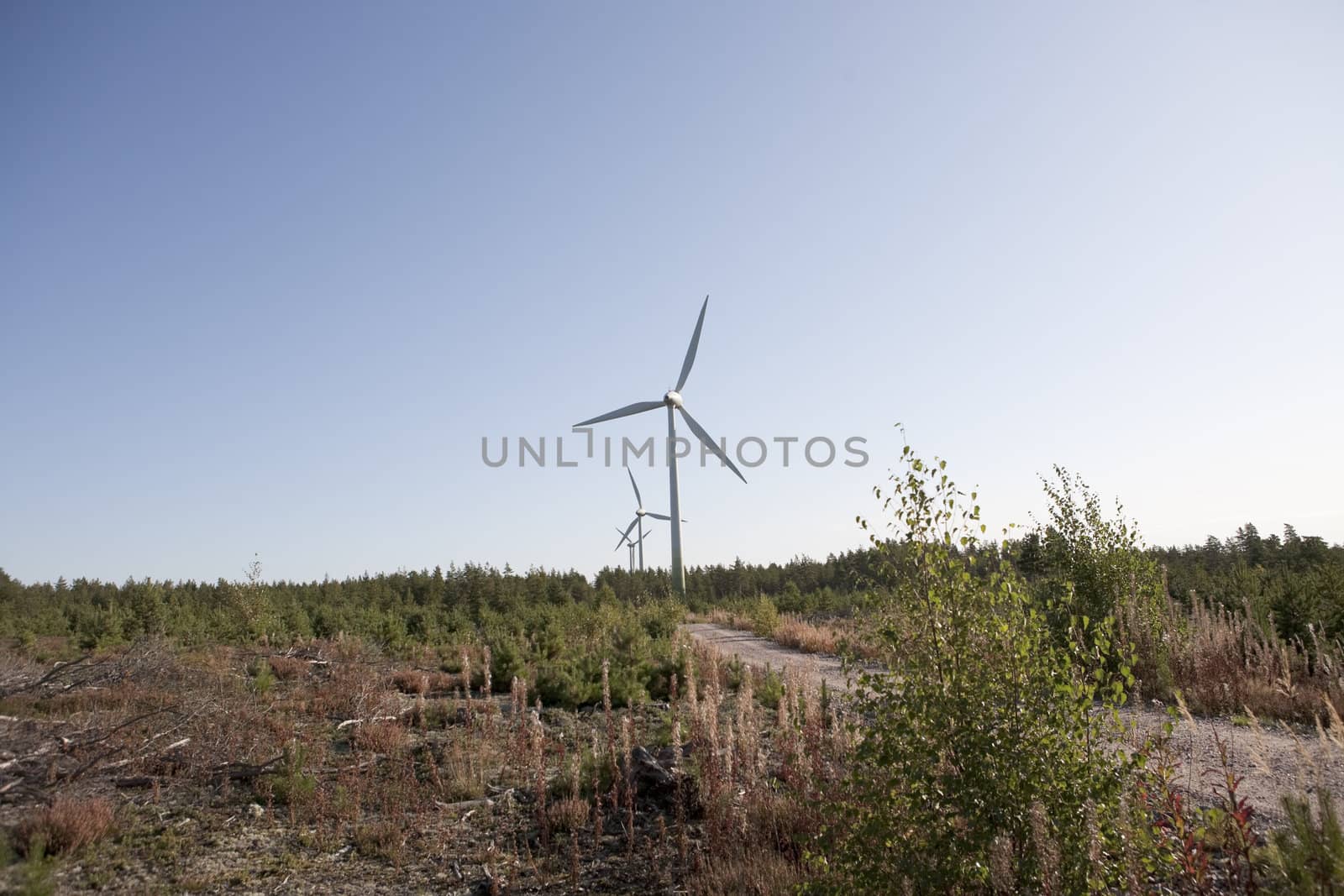 Modern windmill producing renewable energy ecologically.