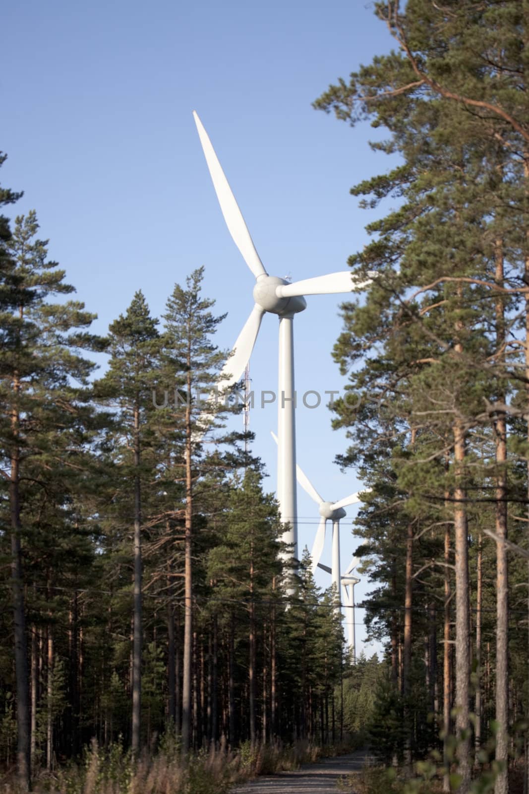 Modern windmill producing renewable energy ecologically.