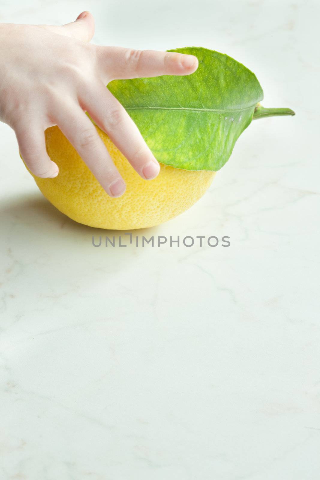 child''s hand holding a lemon with a leaf