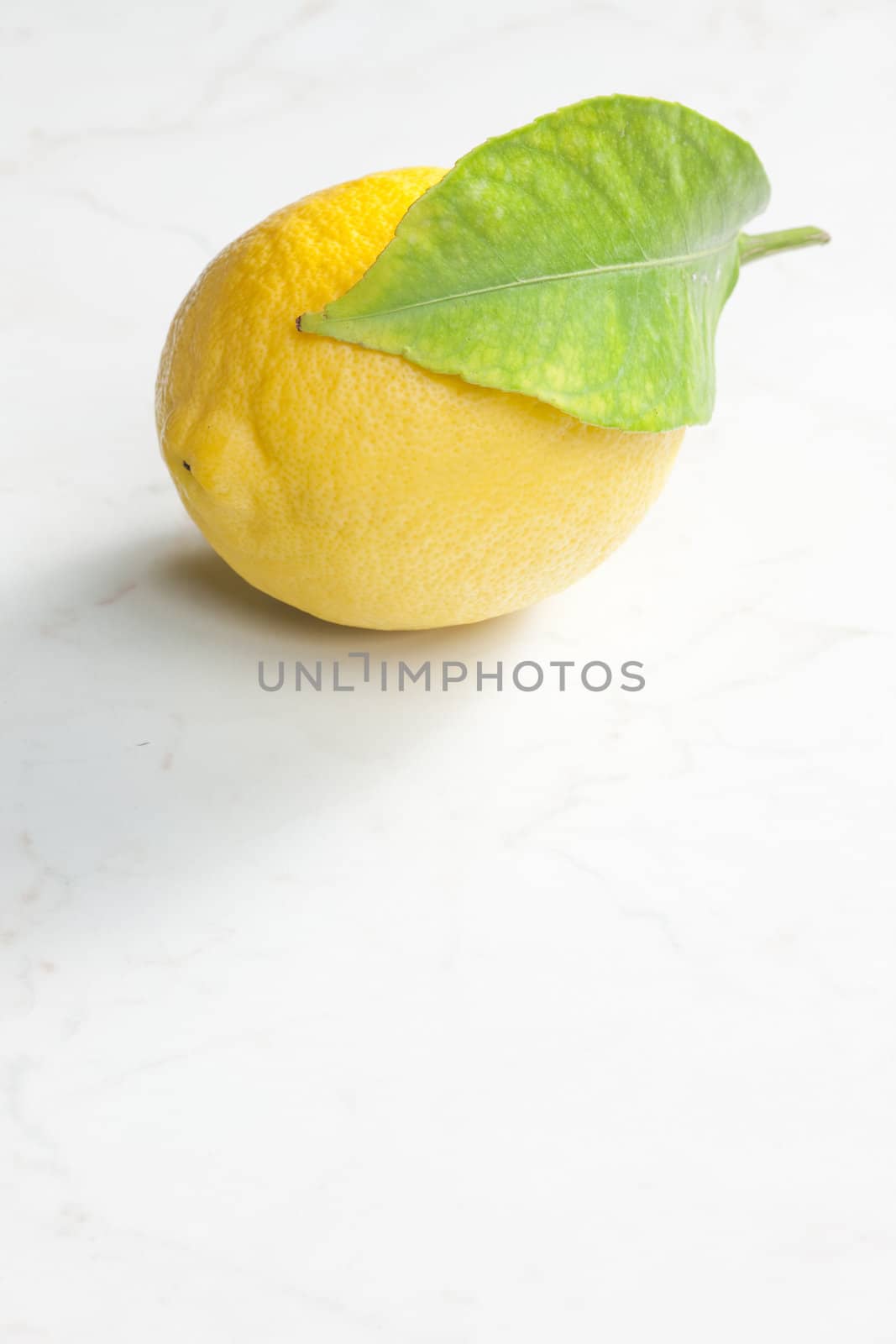 lemon with a leaf