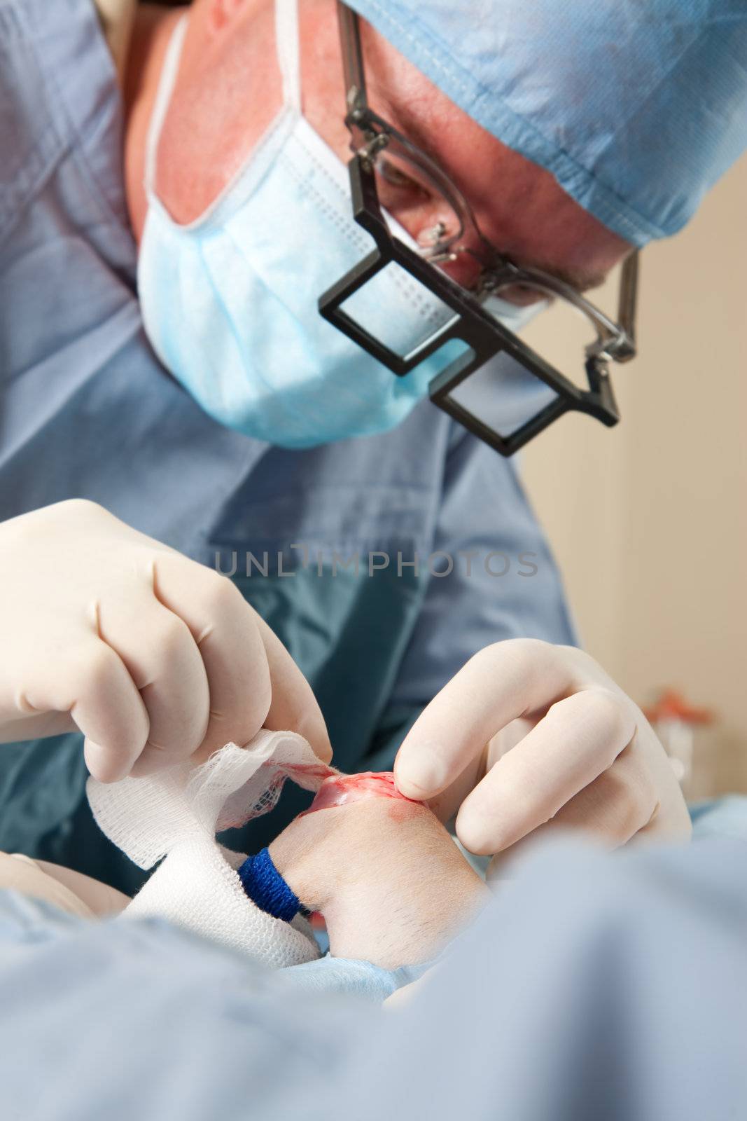 Veterinarian performing knee surgery on small dog in clinic