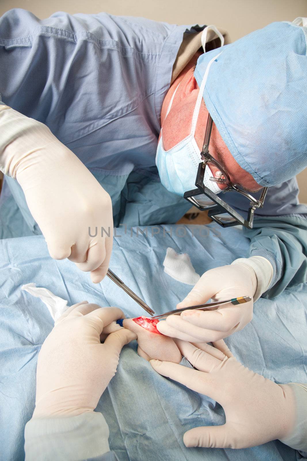 Veterinarian performing knee surgery on small dog in clinic