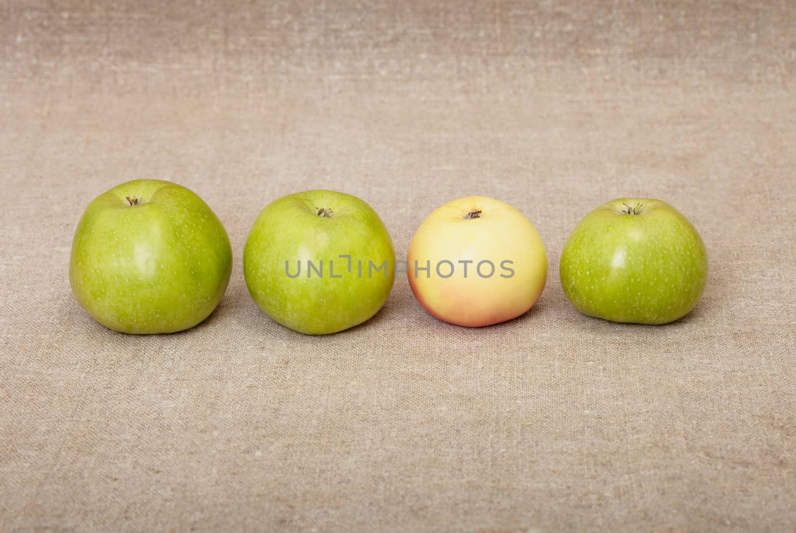 Four ripe apples against a rough drapery