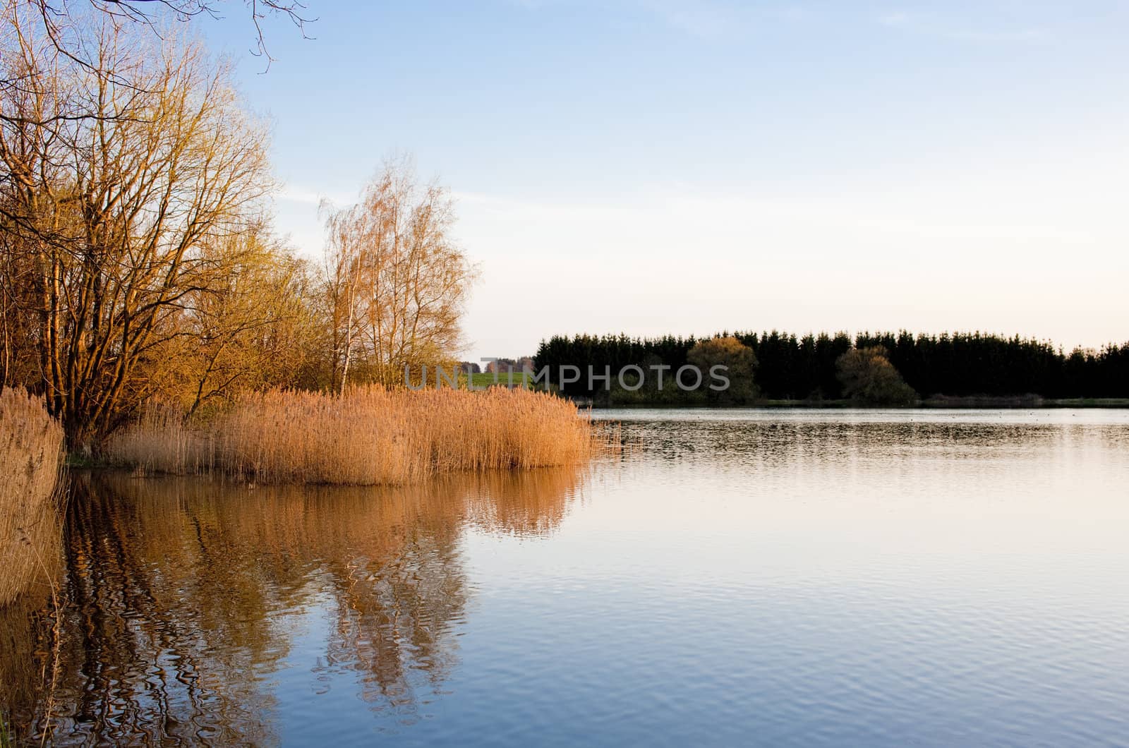 landscape with a pond, Czech Republic