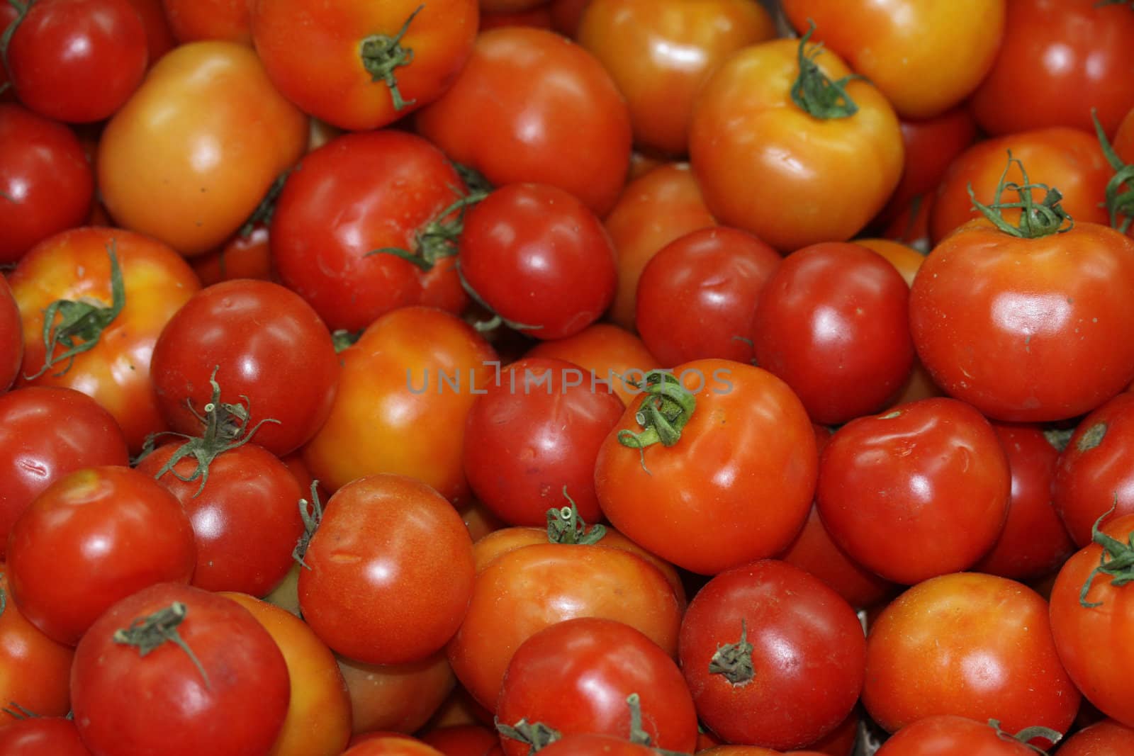 Fresh tomatoes on a fruit and vegetable market