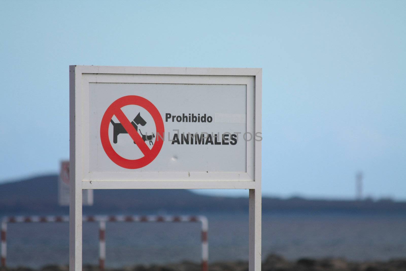No animals allowed sign in Spanish, picturing a dog and a cat