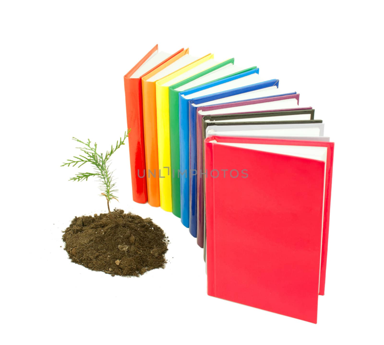Seedling grown from the soil with row of books isolated on white
