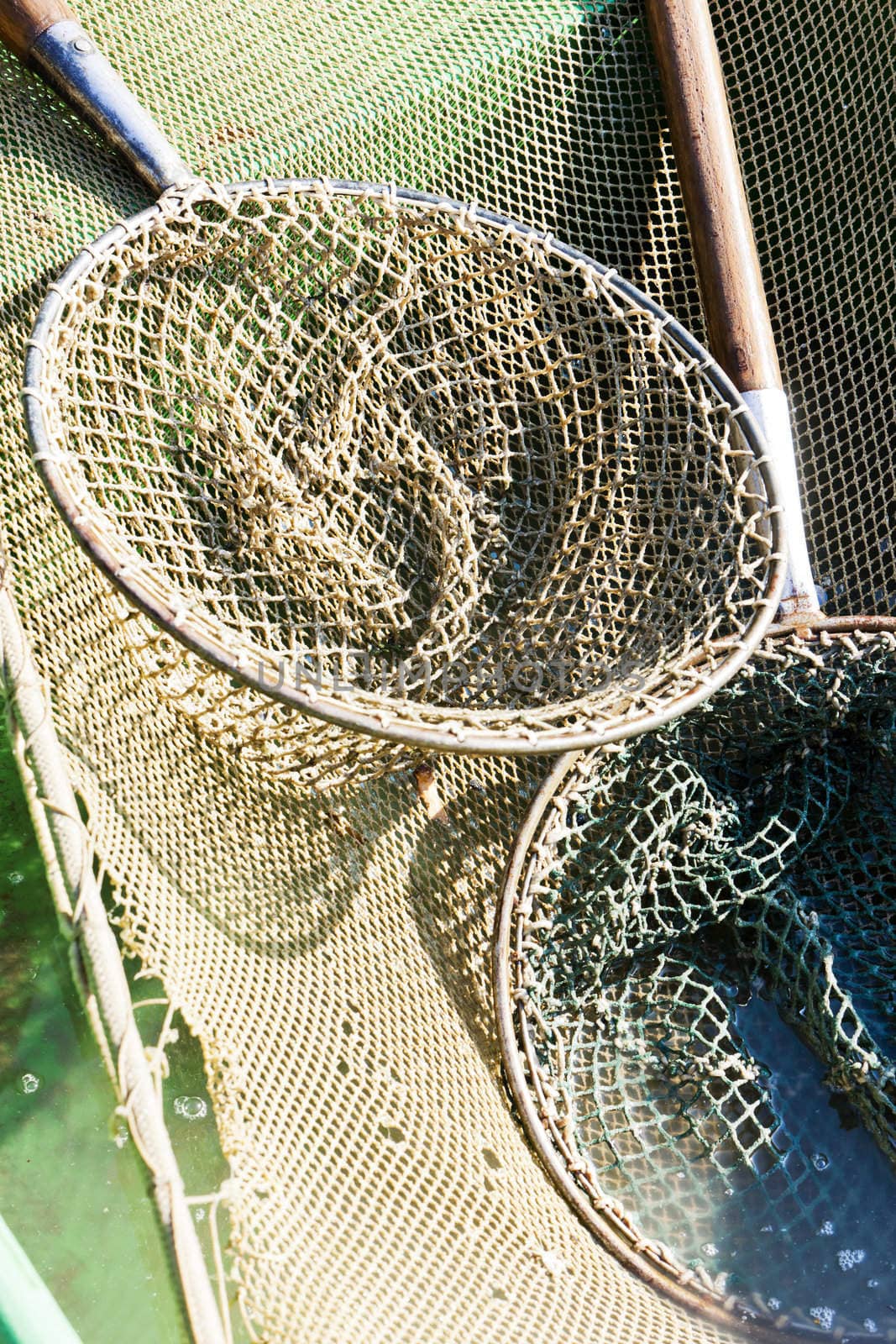 landing nets