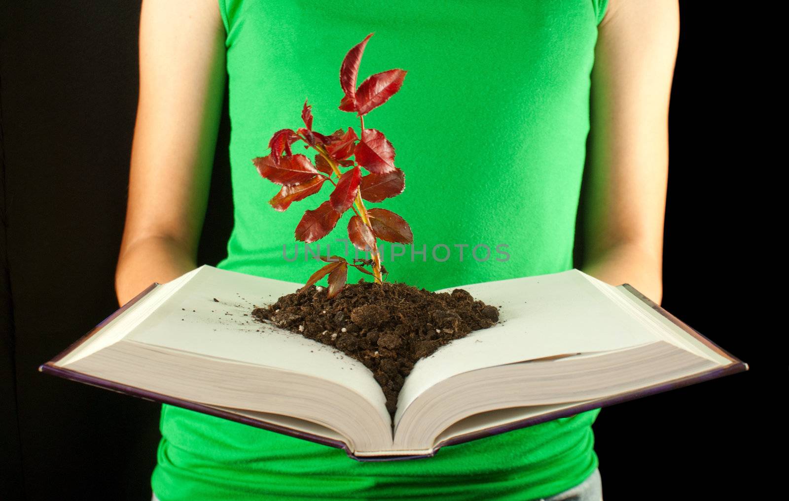 Woman with open book and seedling grown from it
