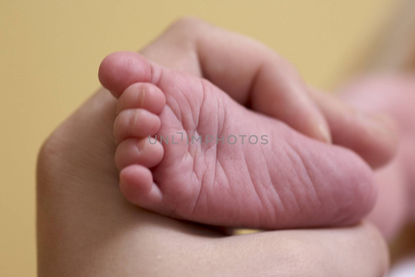 hand holding baby''s foot