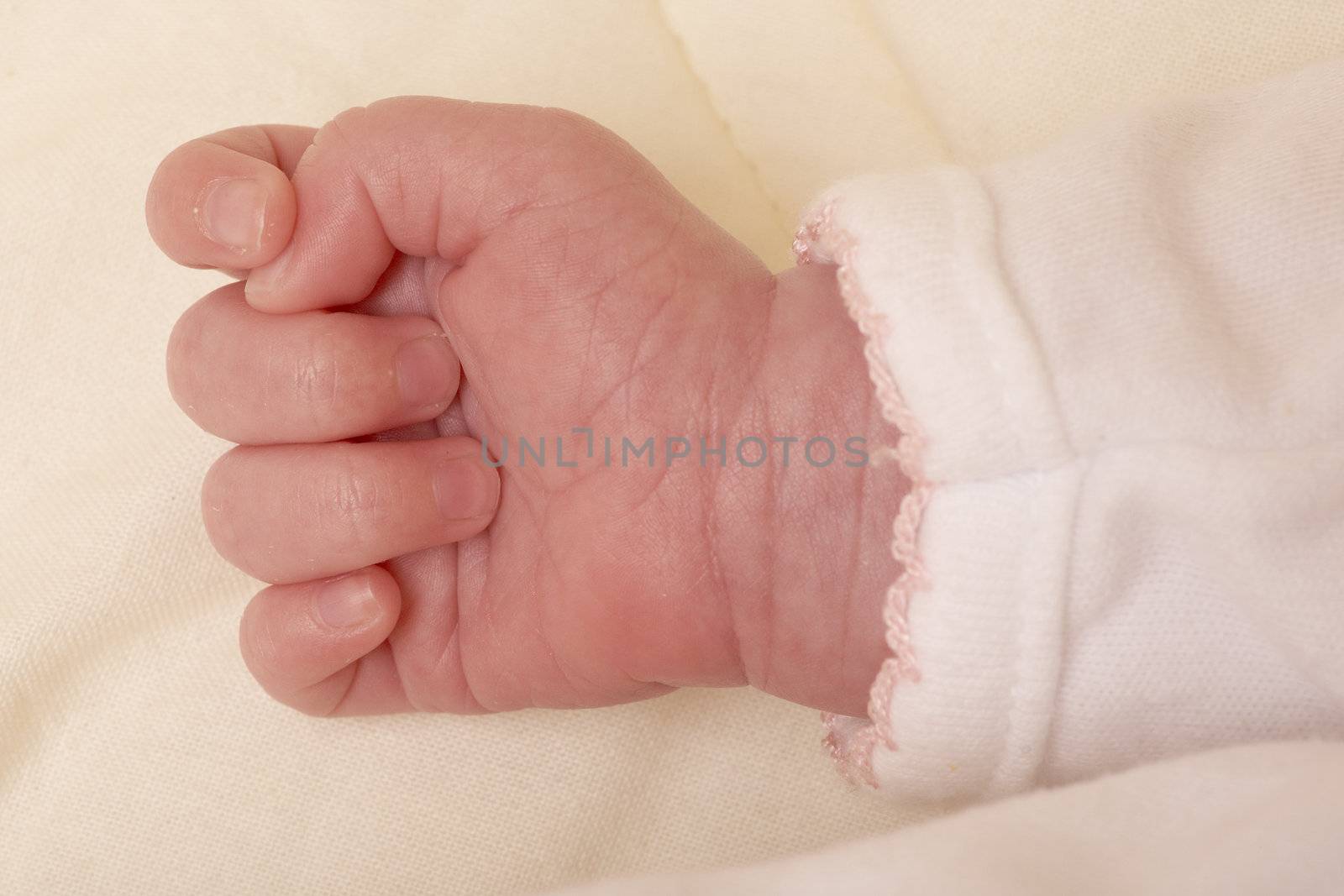 baby's hand