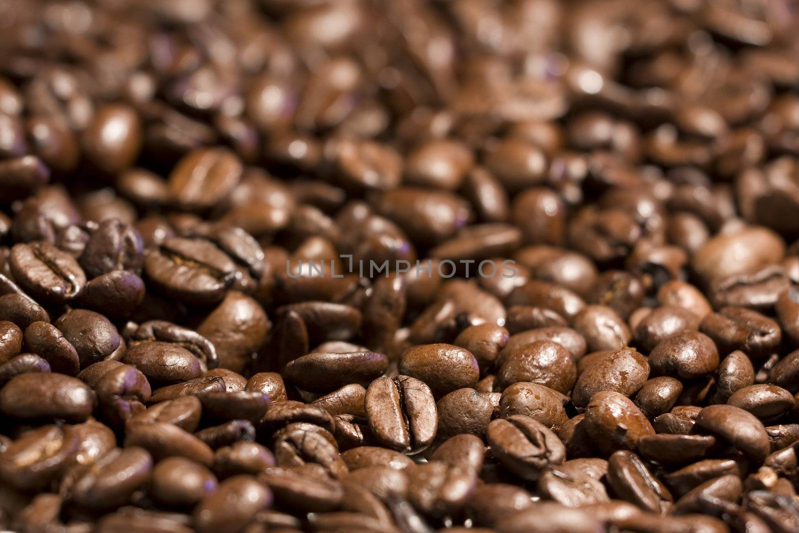 Close up of roasted coffee beans