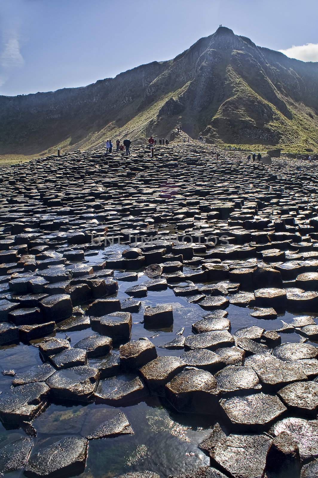 Landscape of Giant's Causeway Northern Ireland