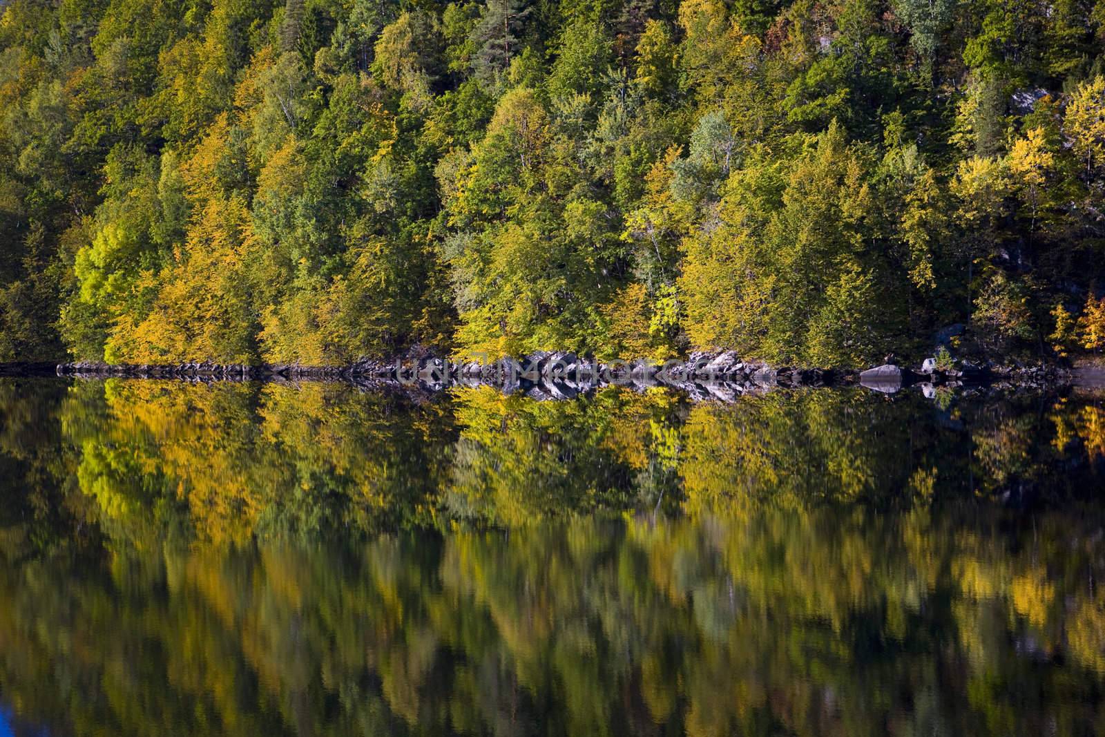 landscape of Southern Norway