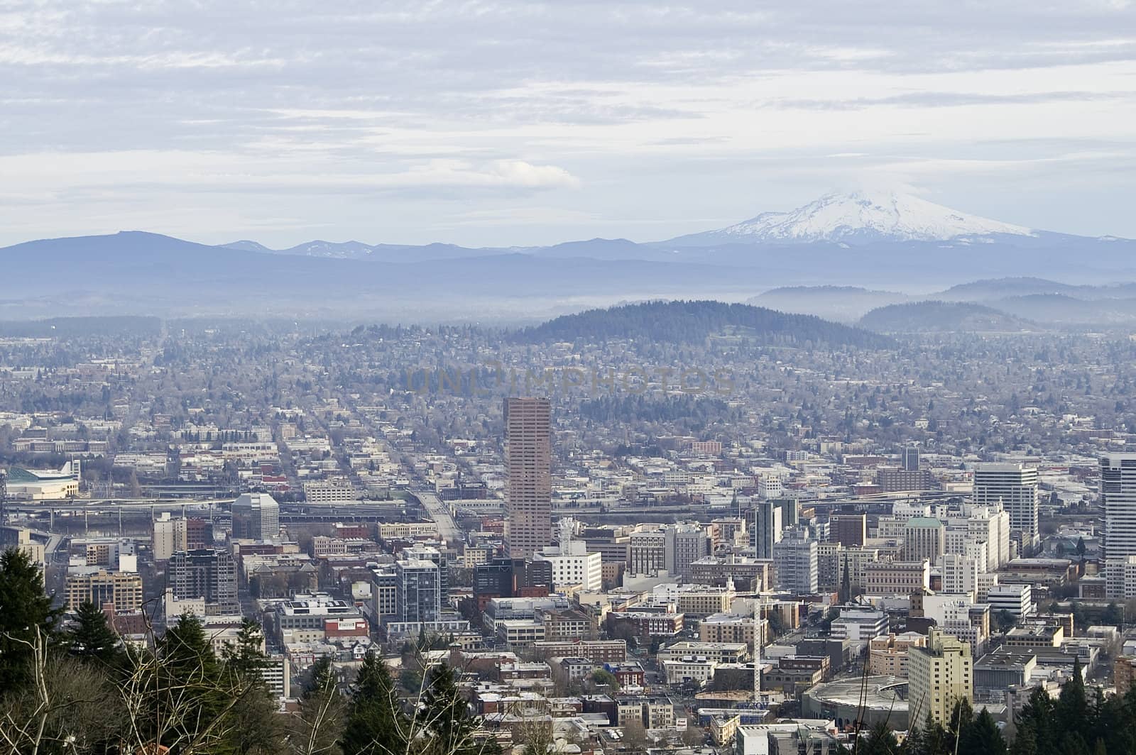 View of Portland, Oregon from Pittock Mansion.