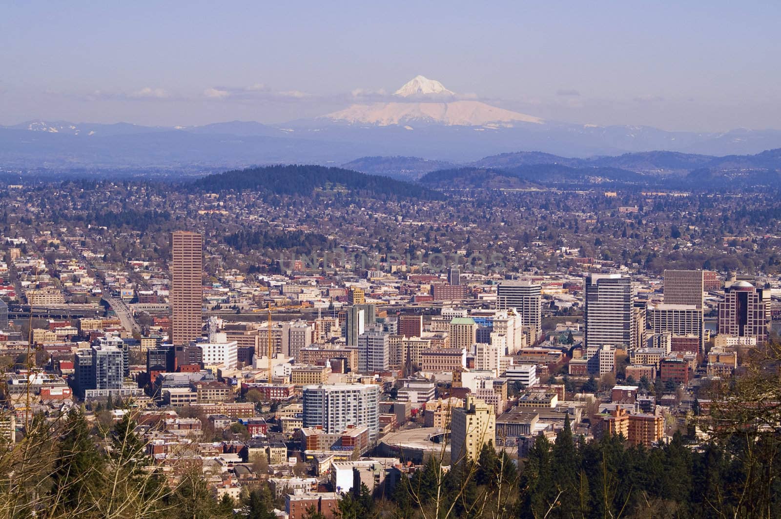 Beautiful Vista of Portland, Oregon by diro