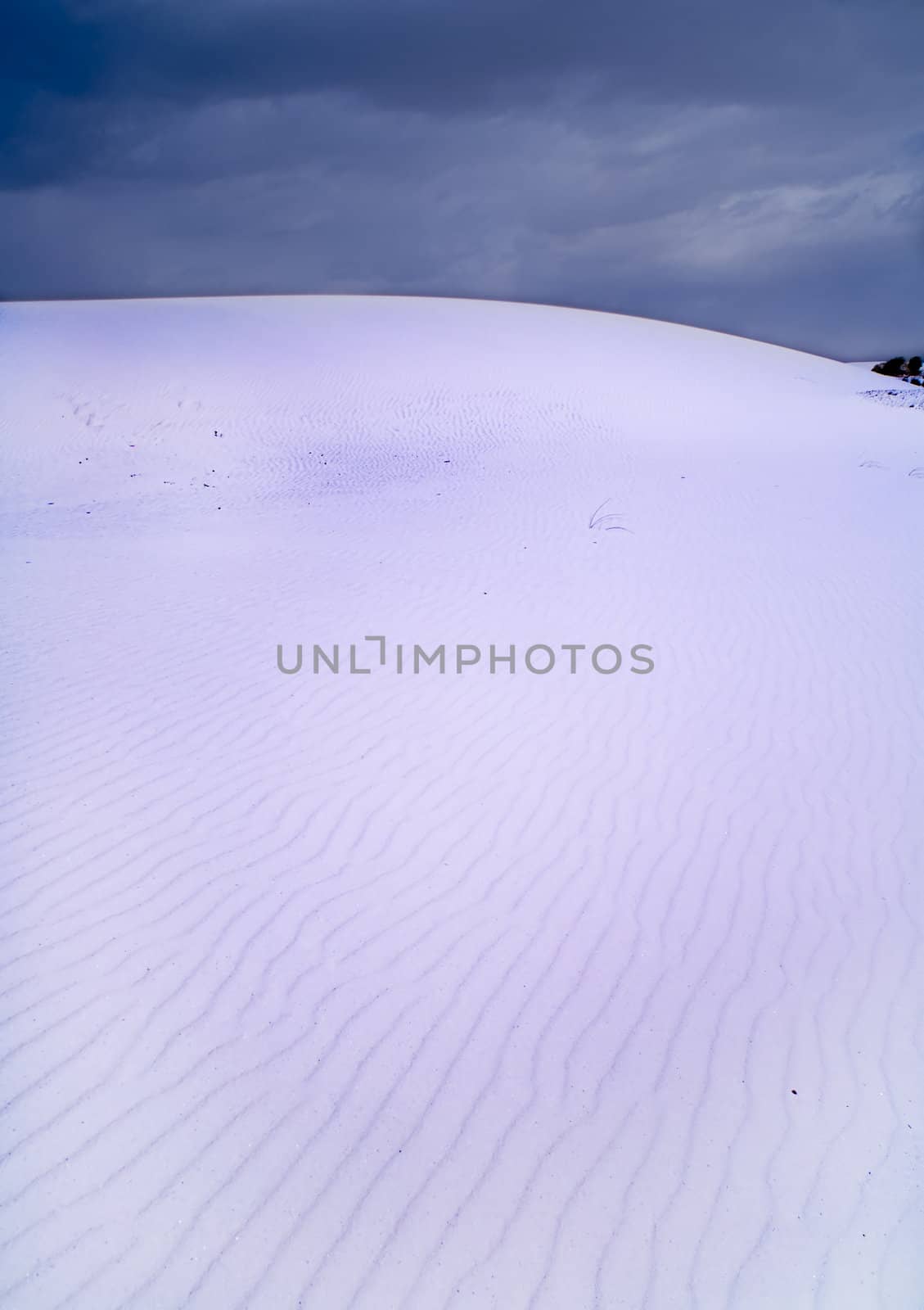 White Sands National Monument, New Mexico, USA.