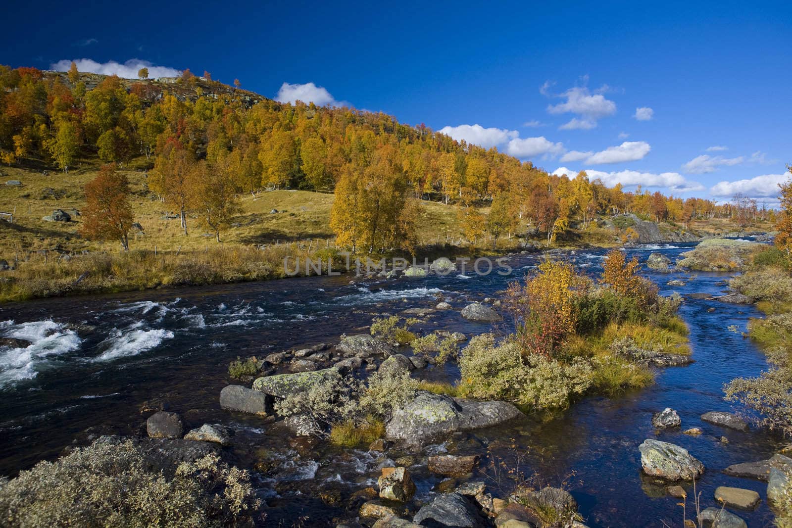 landscape of Southern Vestlandet, Norway