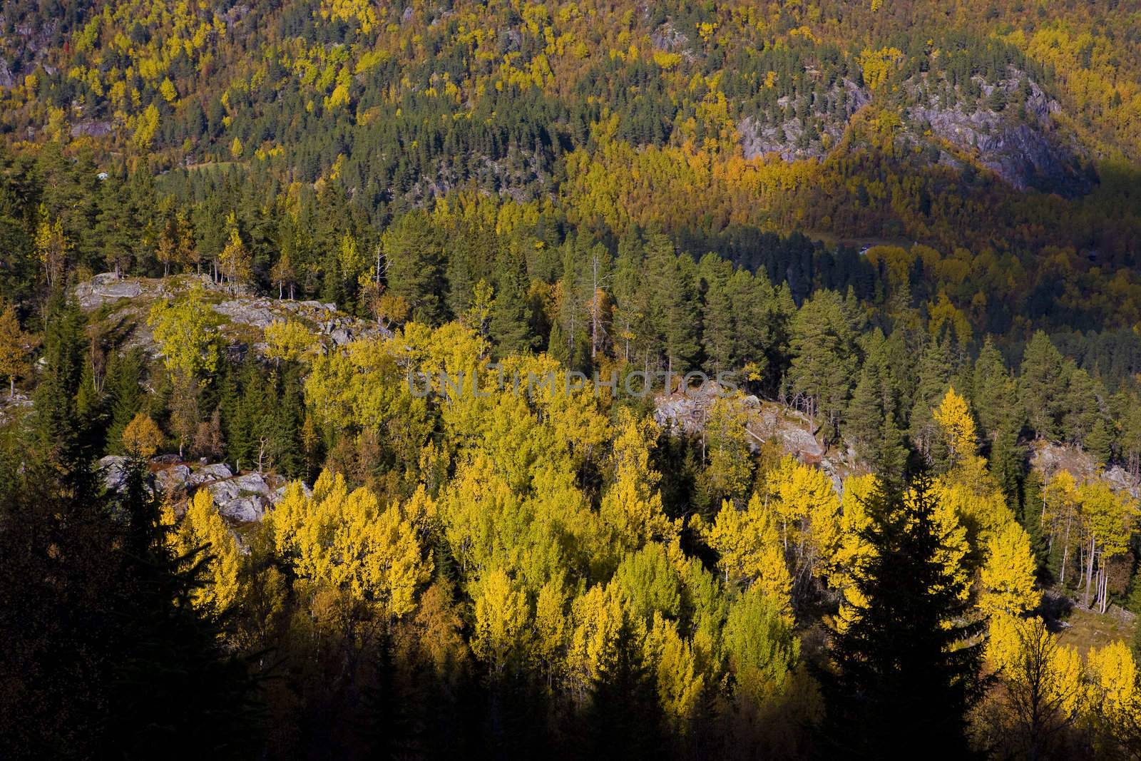 landscape of Southern Vestlandet, Norway