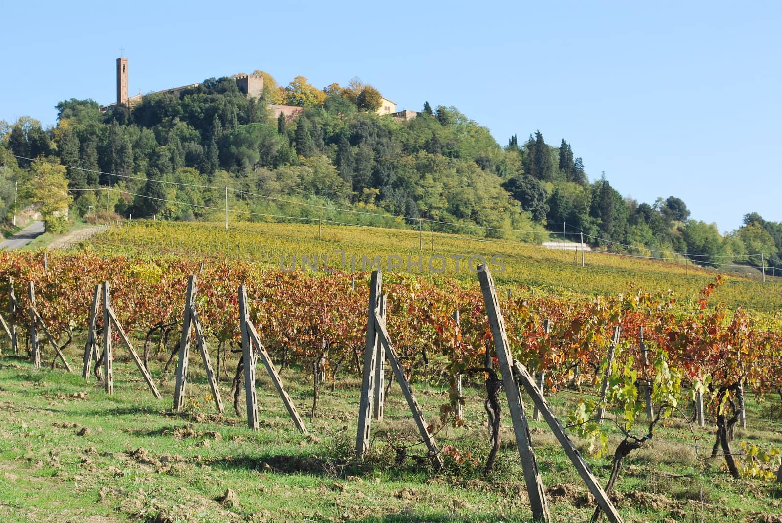 Linari is a "ghost village" in tuscan country rounded by hillsand vineyards