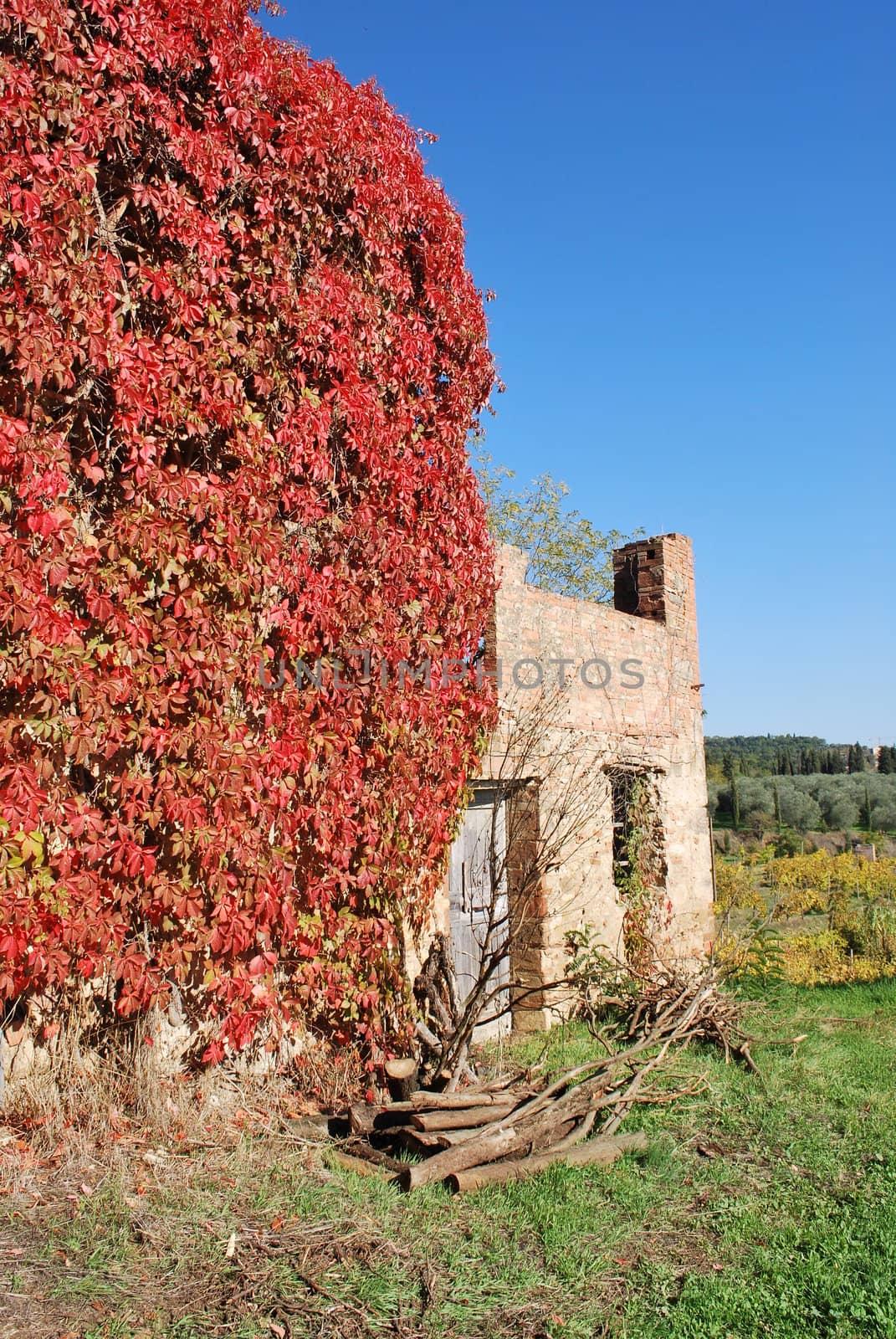 Linari is a "ghost village" in tuscan country rounded by hillsand vineyards