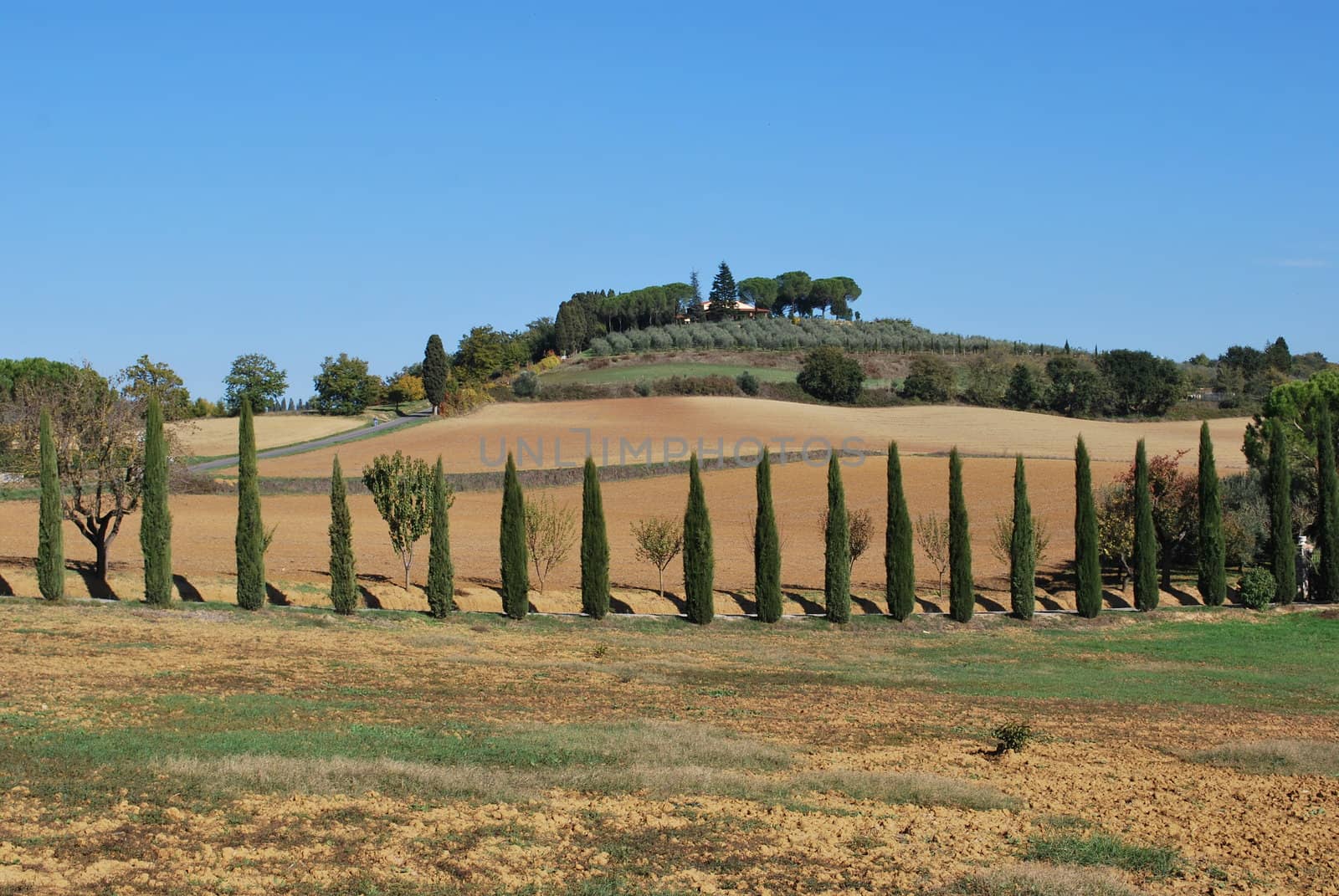 Linari is a "ghost village" in tuscan country rounded by hillsand vineyards