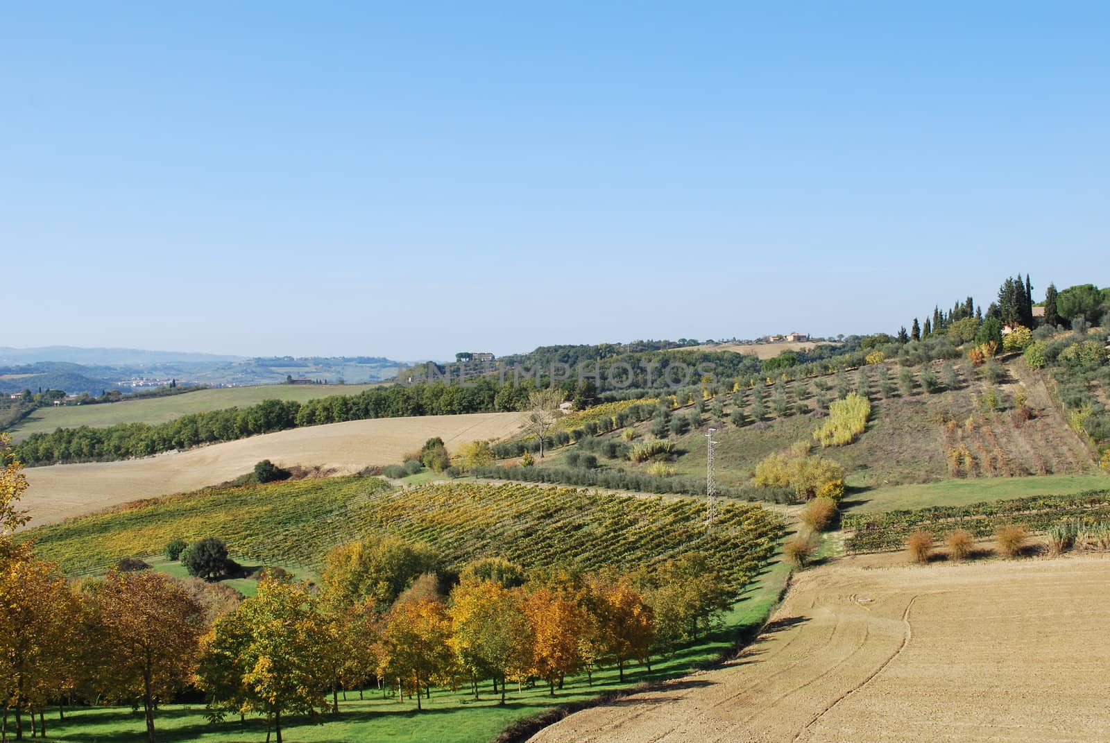 General landscape from Linari by mizio1970