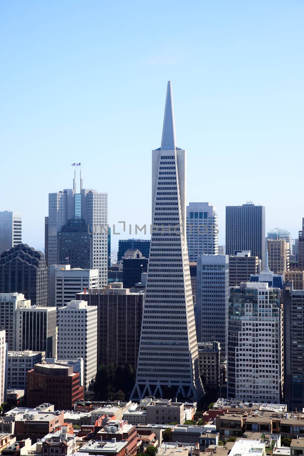 The San Francisco skylines in California USA 