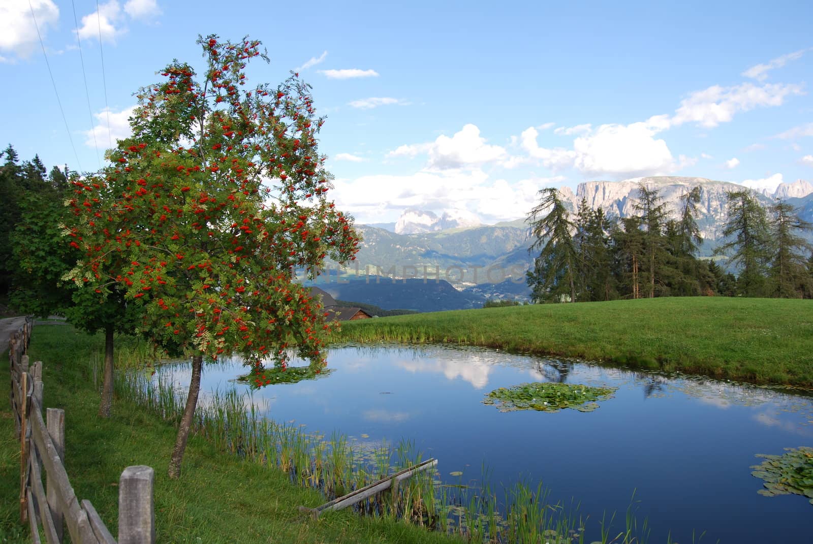 Italian Alpen landscape during summer