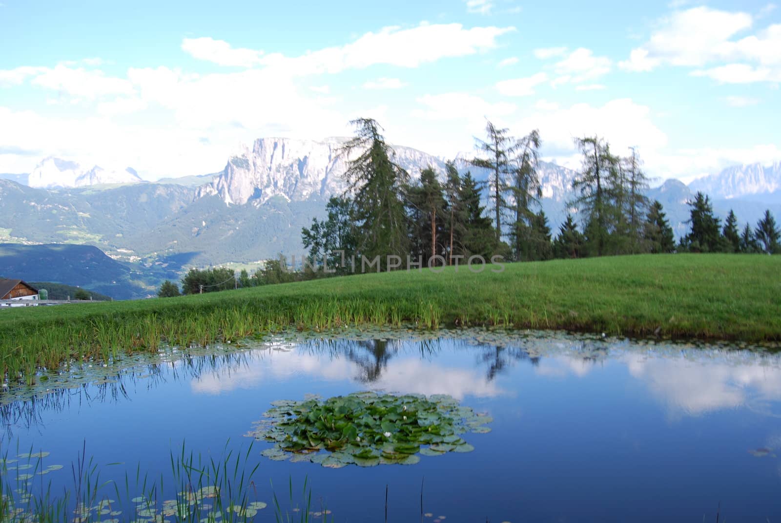 Italian Alpen landscape during summer