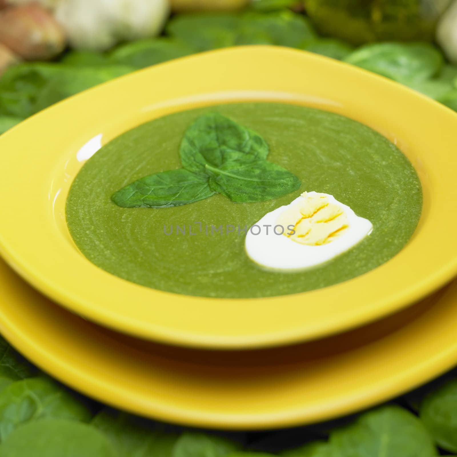 cream spinach soup