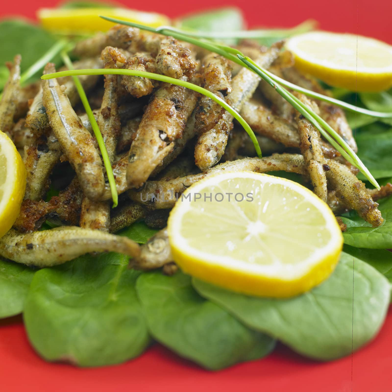 fried anchovies