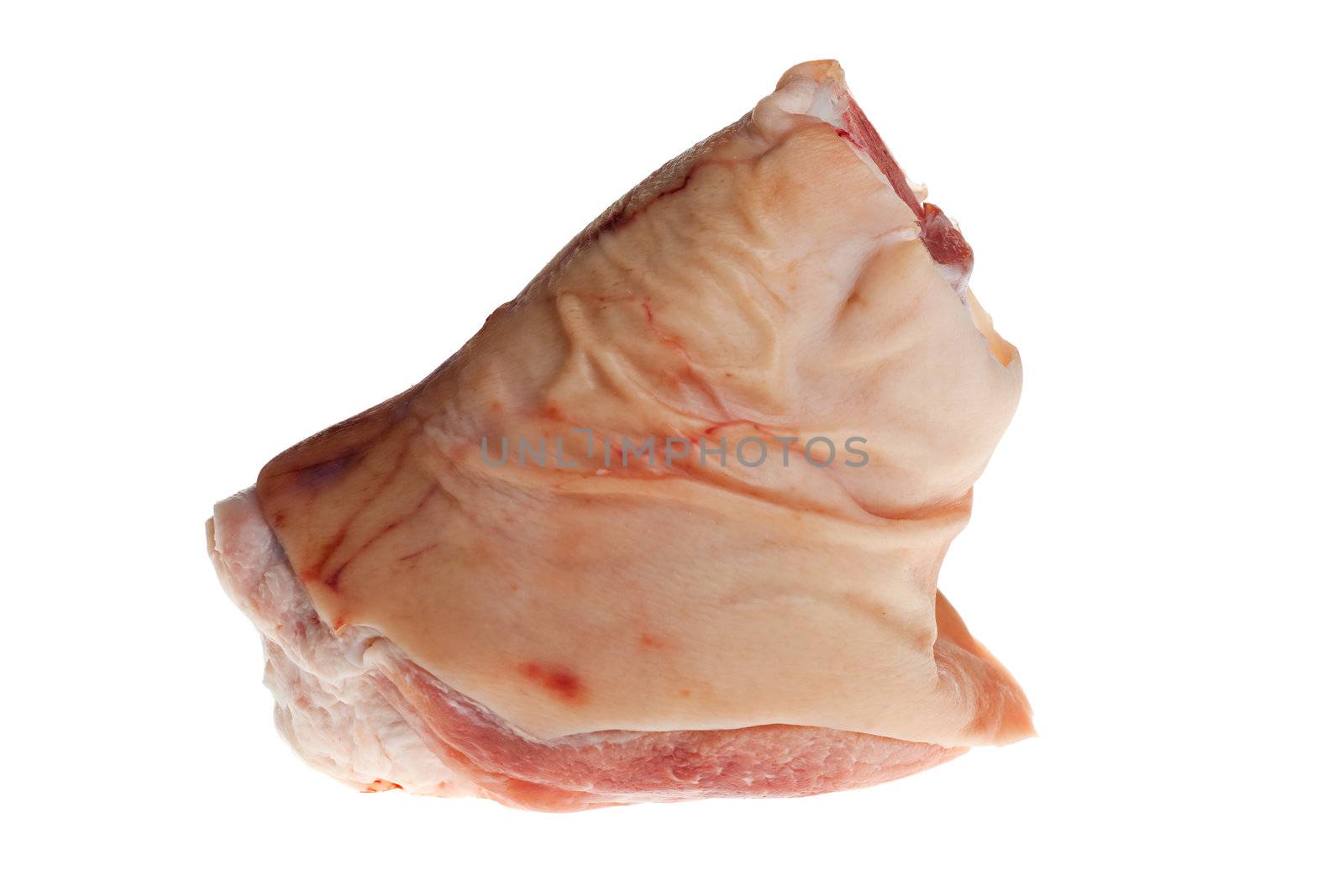 raw knuckle of pork isolated on white