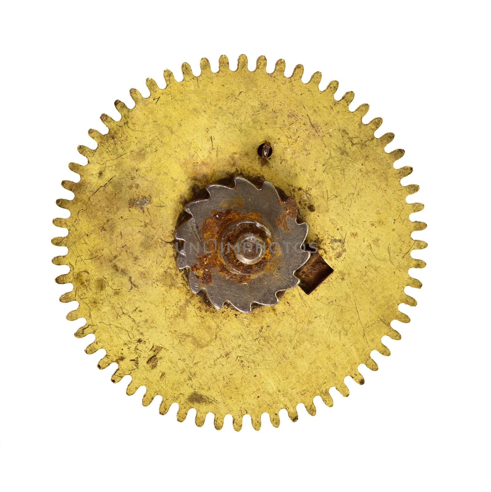 Detail of the part of clockwork mechanism - gear