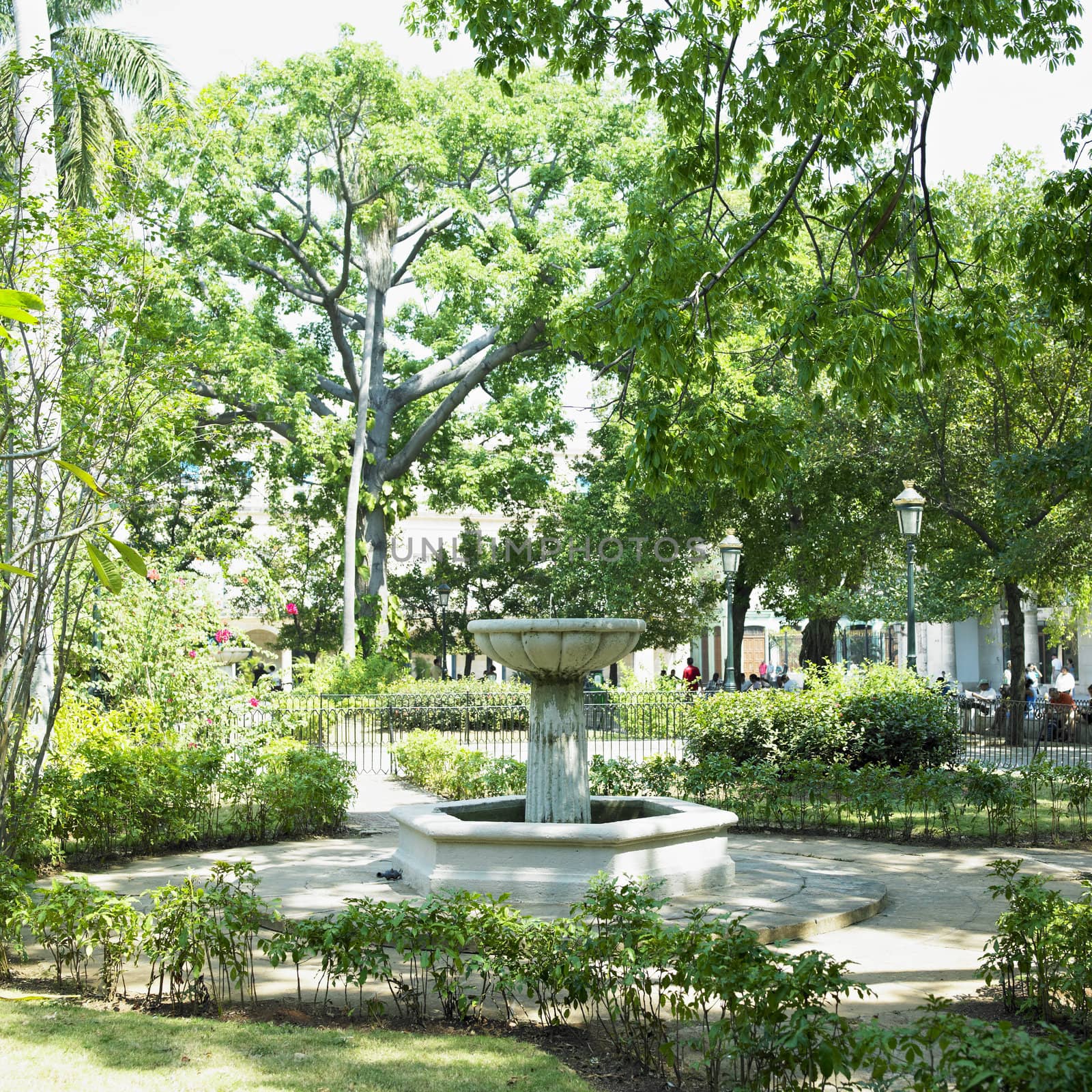 Plaza de Armas, Old Havana, Cuba