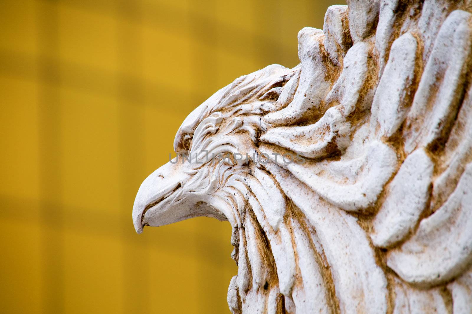 The detail of the eagle staturay head