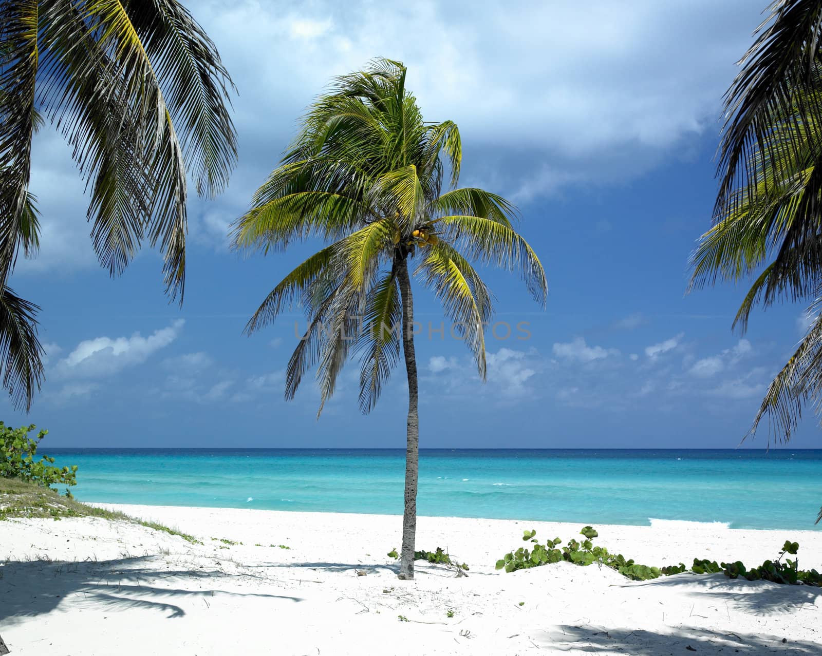 Varadero, Matanzas Province, Cuba
