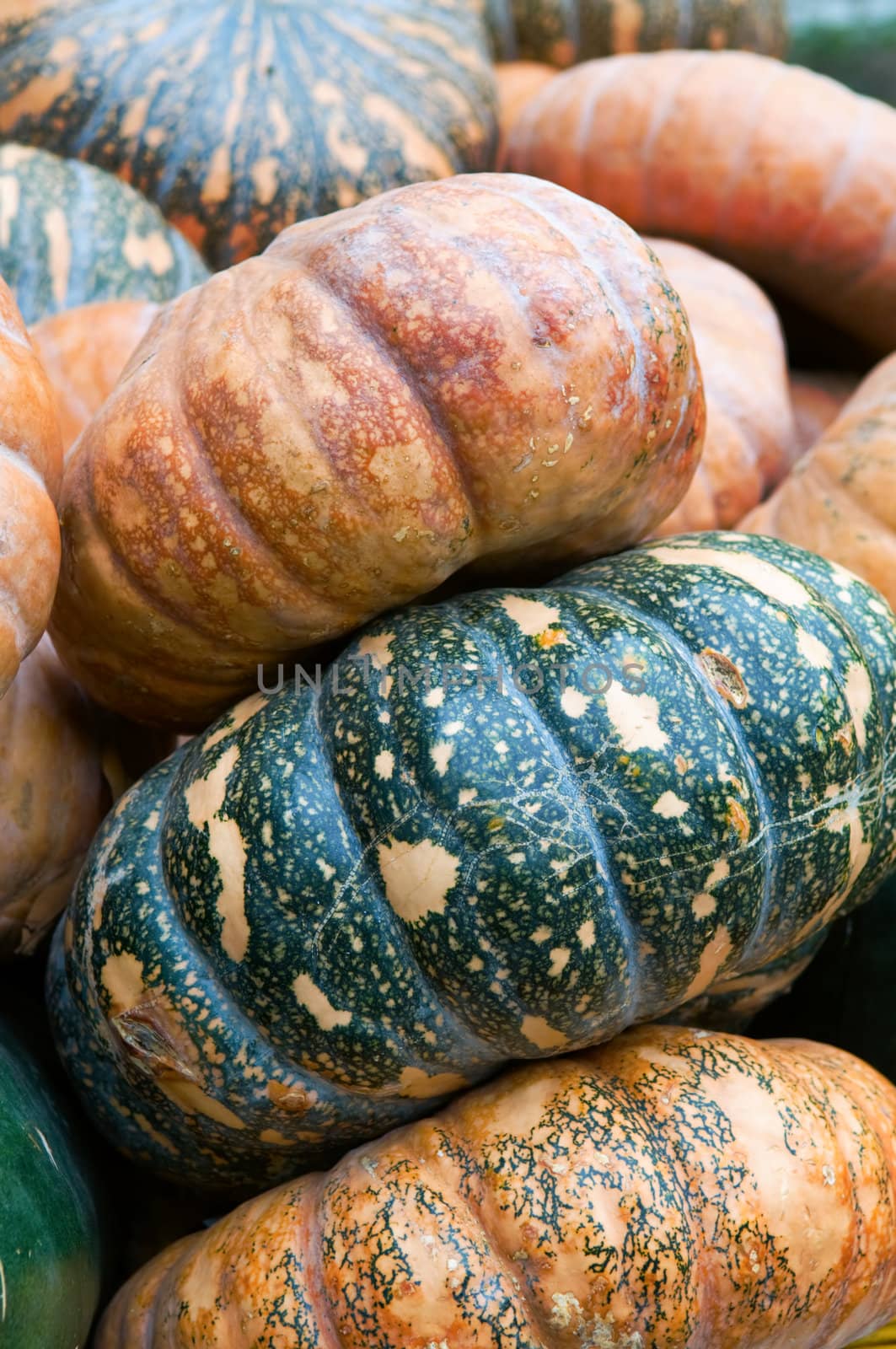 The stack of pumpkins