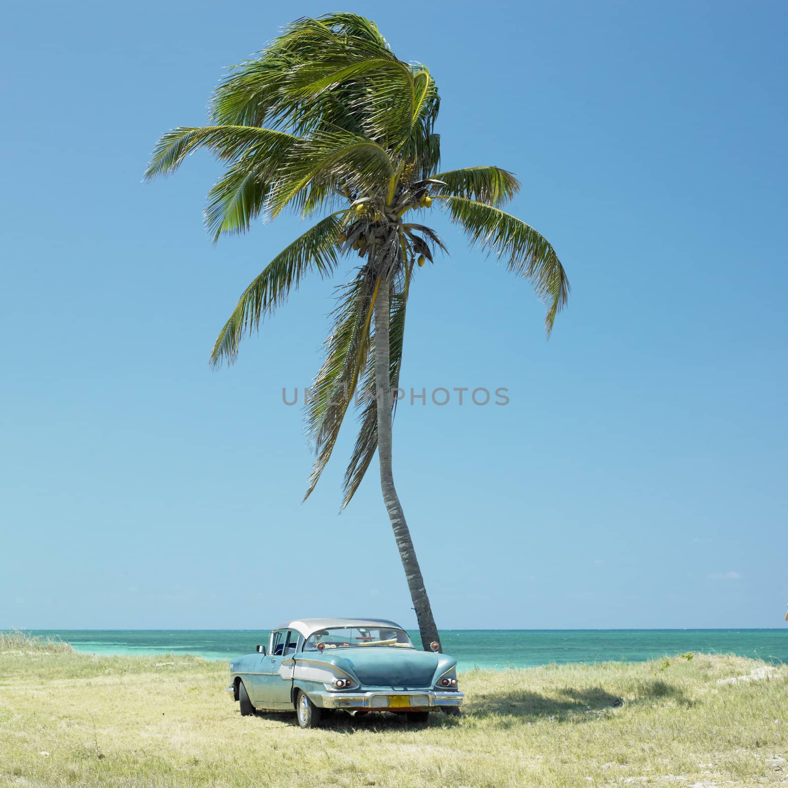 old car, Playa del Este, Havana Province, Cuba