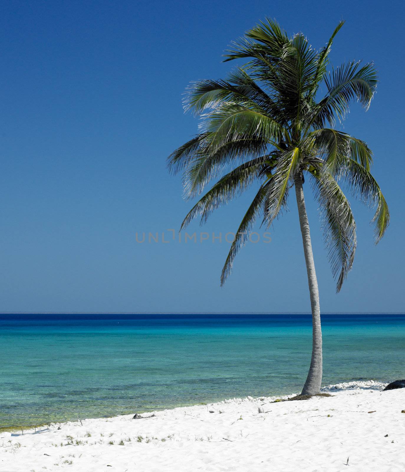 Maria la Gorda, Pinar del Rio Province, Cuba