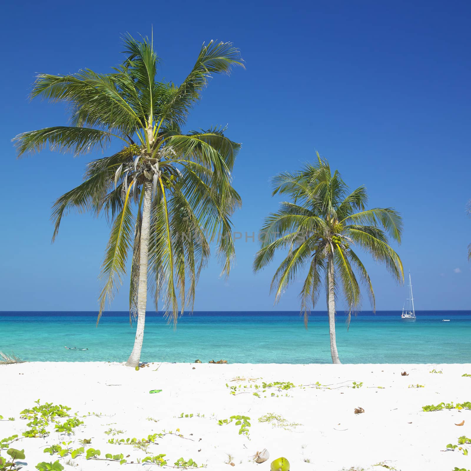 Maria la Gorda Beach, Pinar del Rio Province, Cuba by phbcz