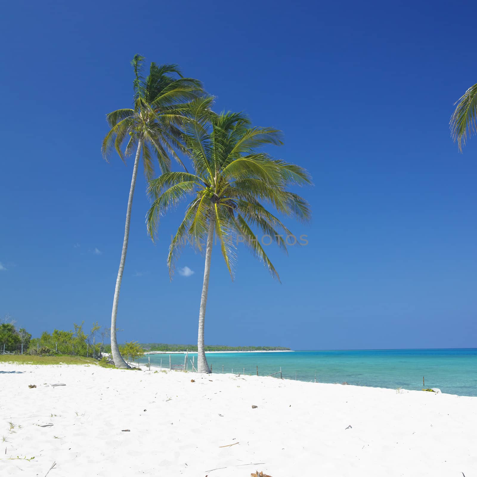 Maria la Gorda Beach, Pinar del Rio Province, Cuba by phbcz